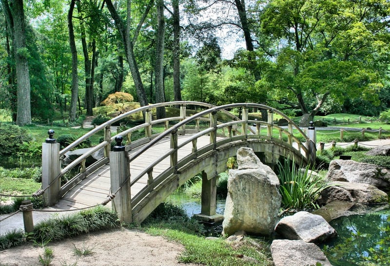 Landscaping Image